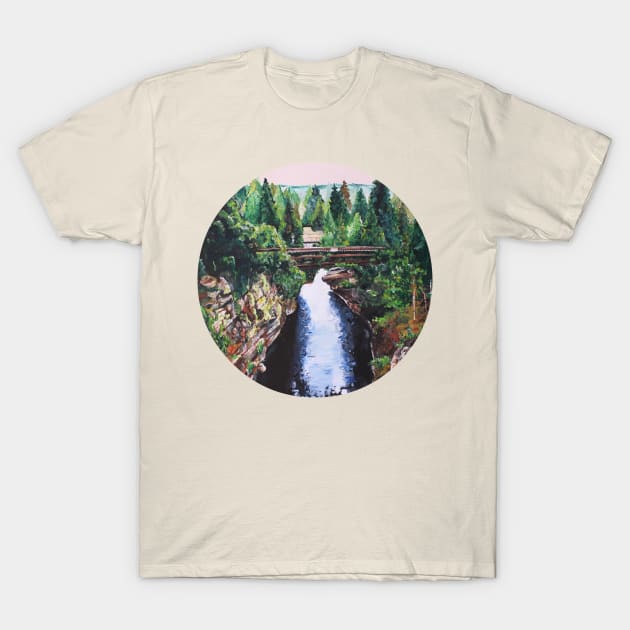 A Bridge Over Troubled Water T-Shirt by alyrill_